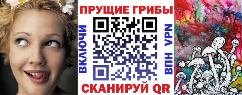 даркнет какой сайт  Пустошка  Галлюциногенные грибы MAGIC MUSHROOMS 